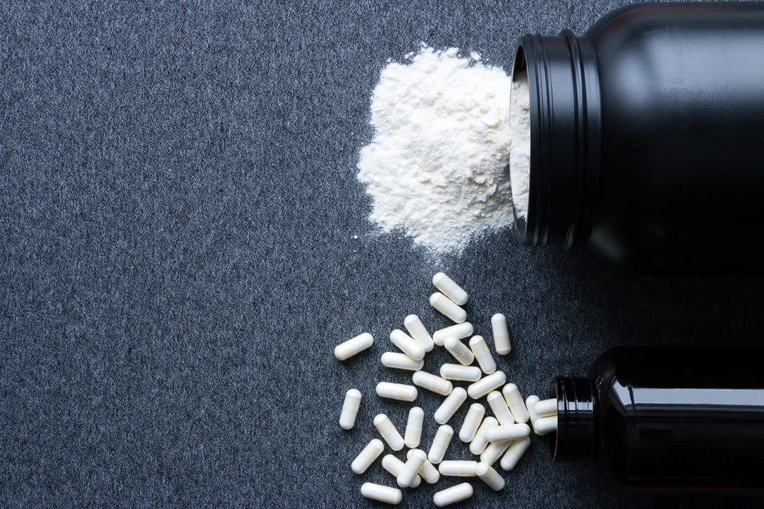 Creatine and your Brain
