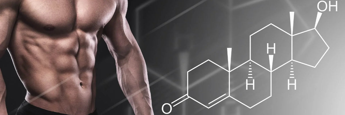 Testosterone Boosters