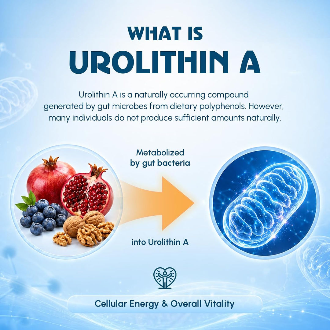 Urolithin A - 120 Softgels