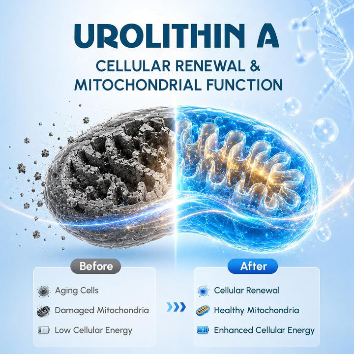 Urolithin A - 120 Softgels