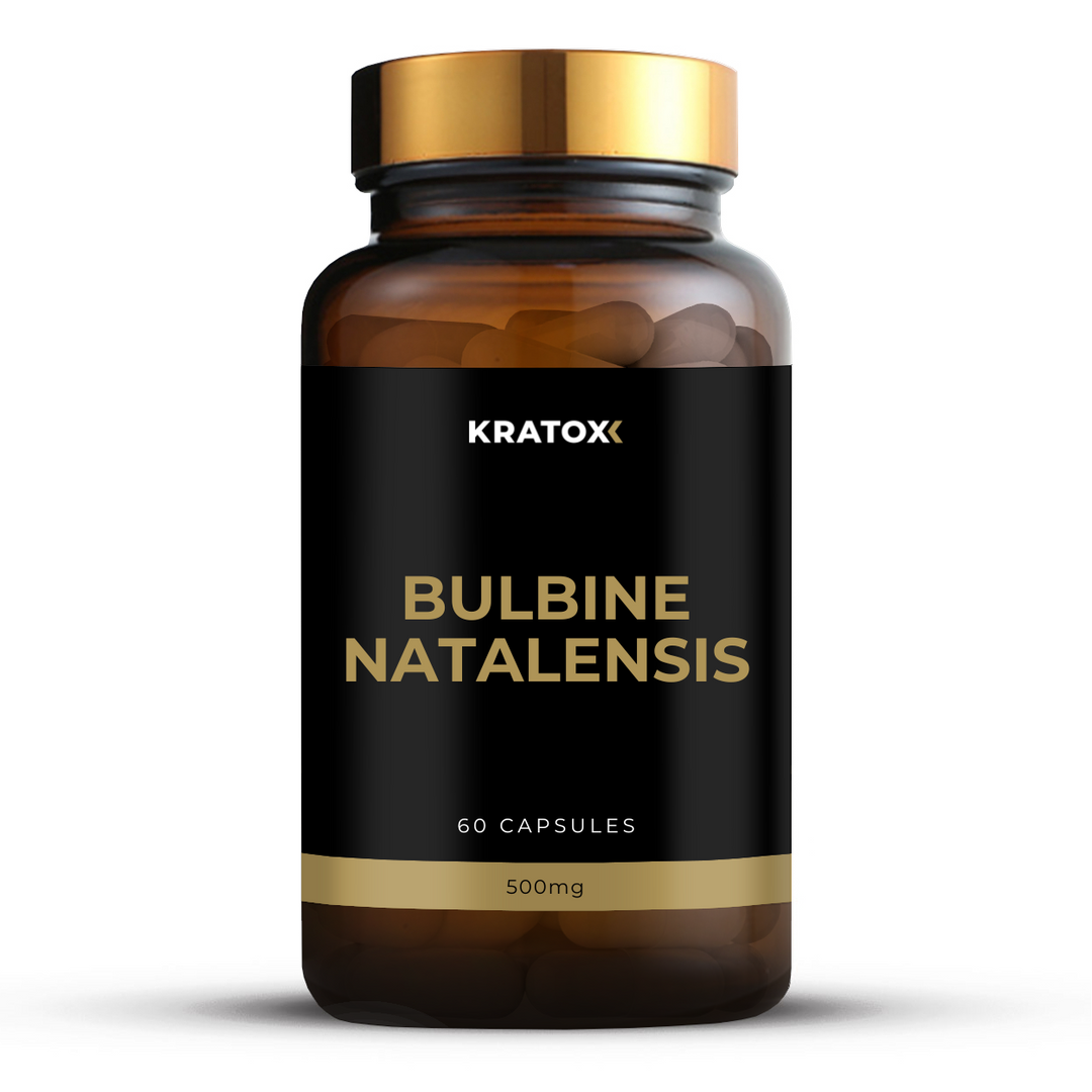 Bulbine Natalensis