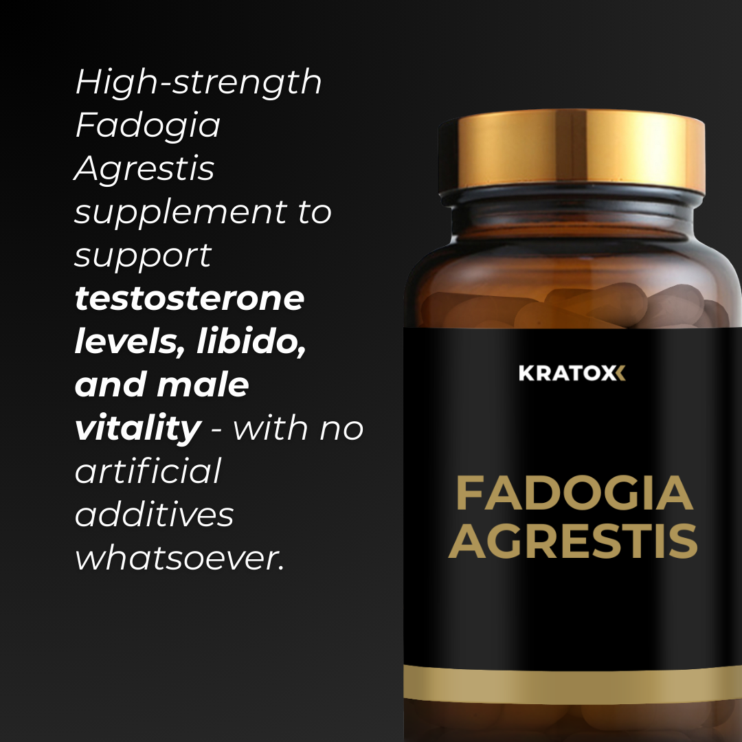 High-strength Fadogia Agrestis supplement to support testosterone levels, libido, and male vitality