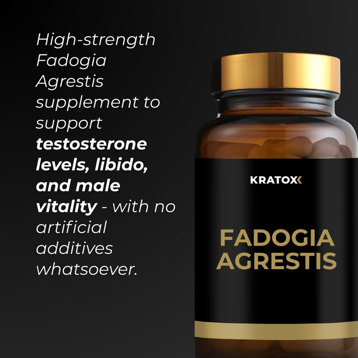 High-strength Fadogia Agrestis supplement to support testosterone levels, libido, and male vitality