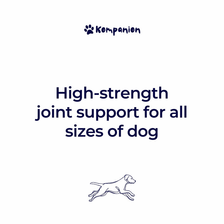 Joint Care for Dogs