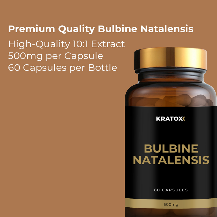 Bulbine Natalensis