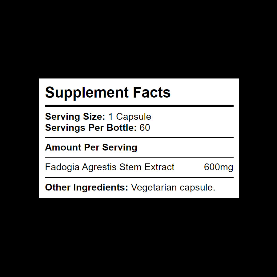 600mg Fadogia Agrestis