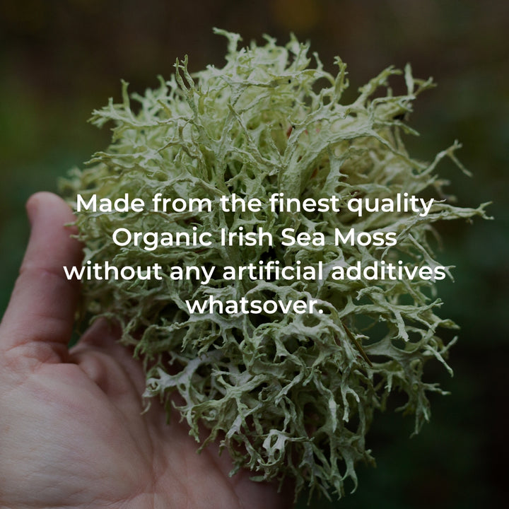 Hand holding organic Irish Sea Moss with text about quality and additives
