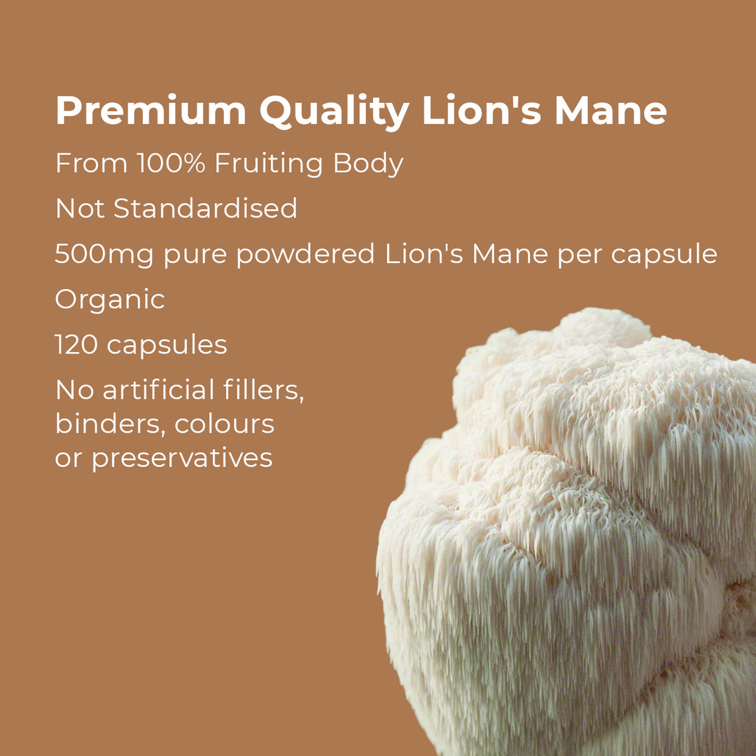 Lion&
