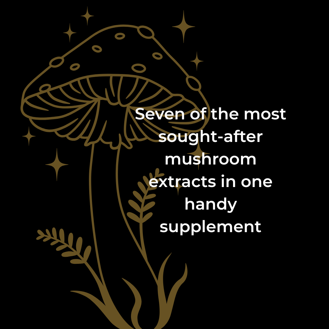 Kratox Magic 7 seven-mushroom supplement supporting cognitive function, immune health and daily vitality