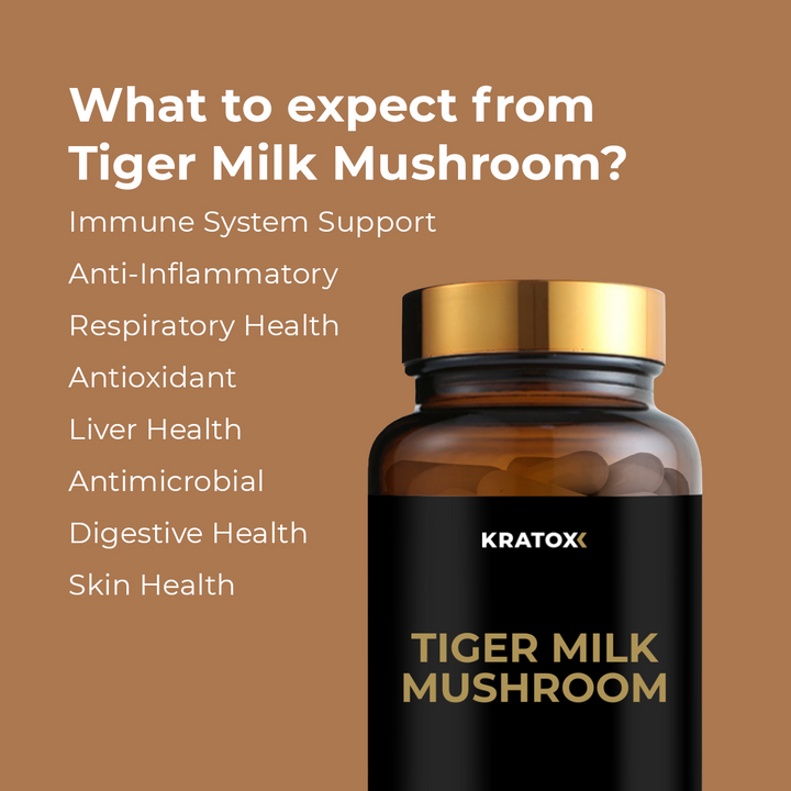 Kratox Tiger Milk Mushroom supplement — natural fungal extract for immunity, gut health and wellbeing support.