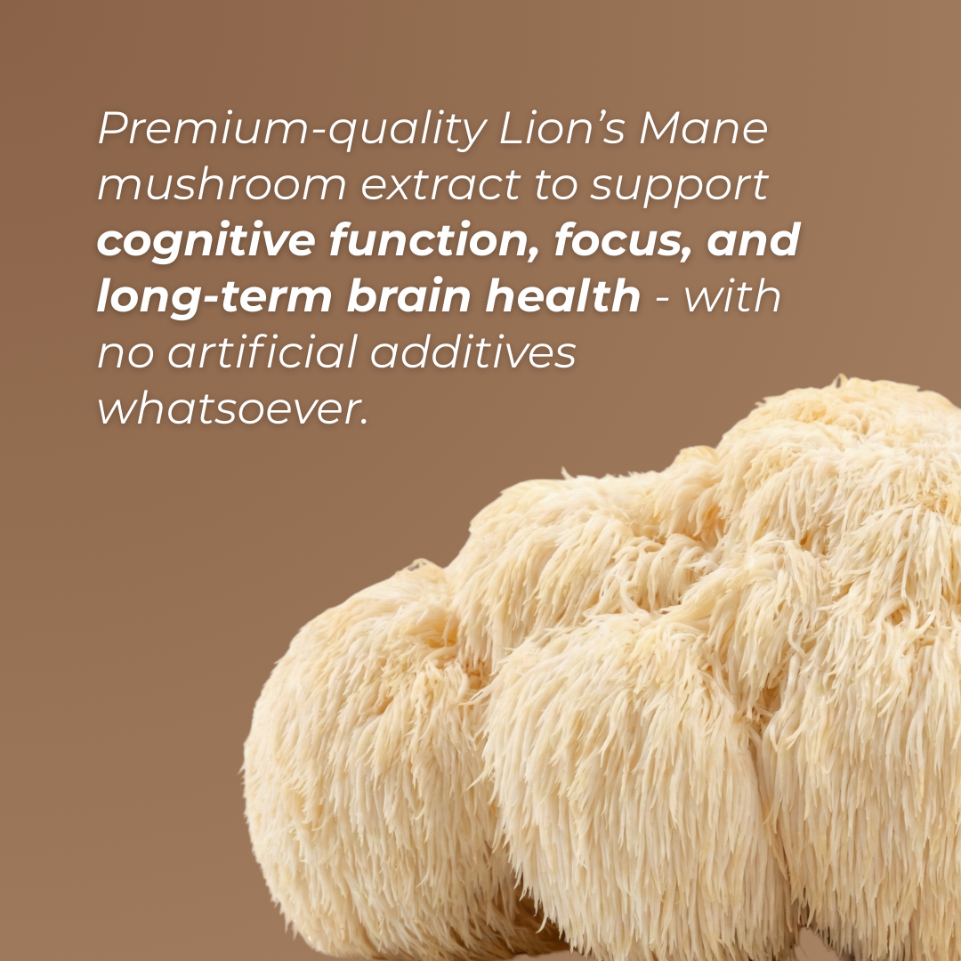 Premium-quality Lion’s Mane mushroom extract to support cognitive function, focus, and long-term brain health.