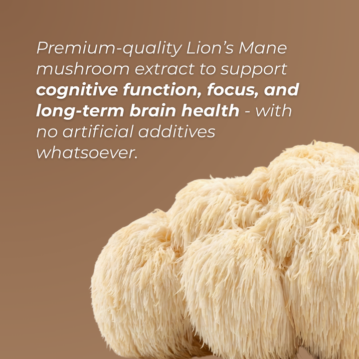 Premium-quality Lion’s Mane mushroom extract to support cognitive function, focus, and long-term brain health.