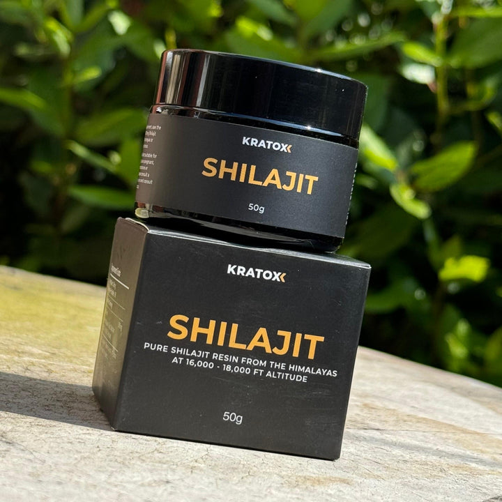 Natural resin supplement for stamina and resilience — Shilajit Resin promoting vitality, stress support and overall wellness.  