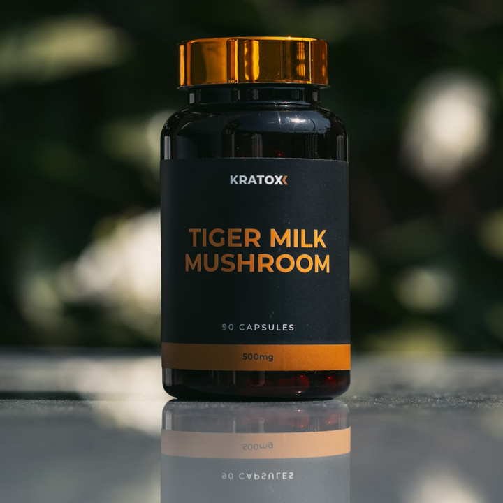 Tiger Milk Mushroom capsules by Kratox — functional mushroom supplement for daily wellness and resilience support.